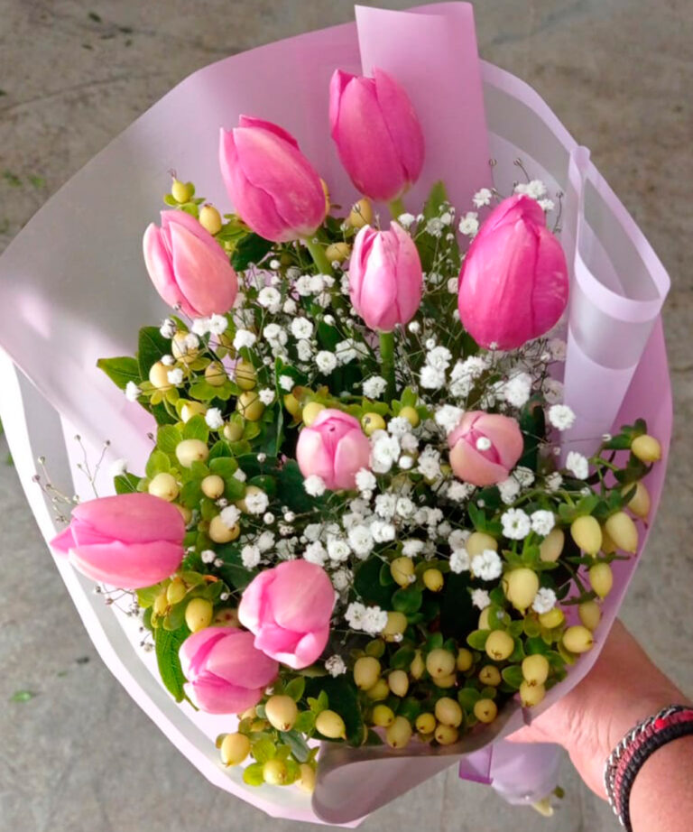 Tulipán